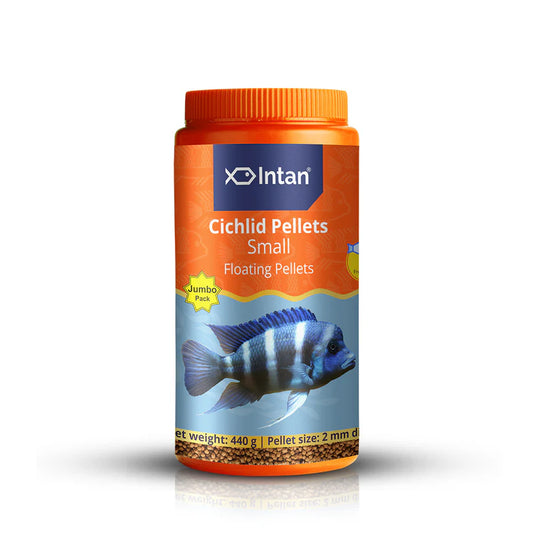 Intan Cichlid Pellets (Small)