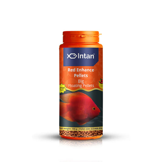 Intan Red Enhance Pellets (Big)